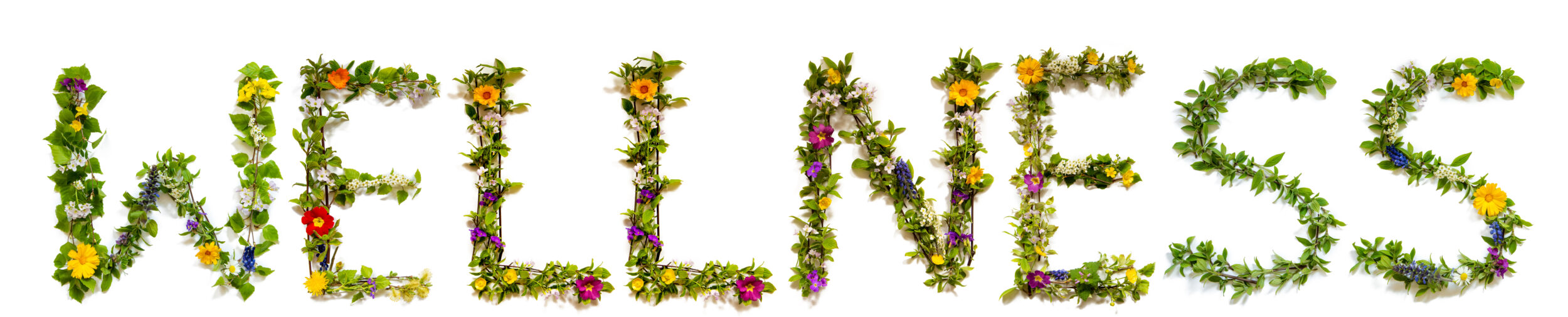 Flower And Blossom Letter Building Word Wellness